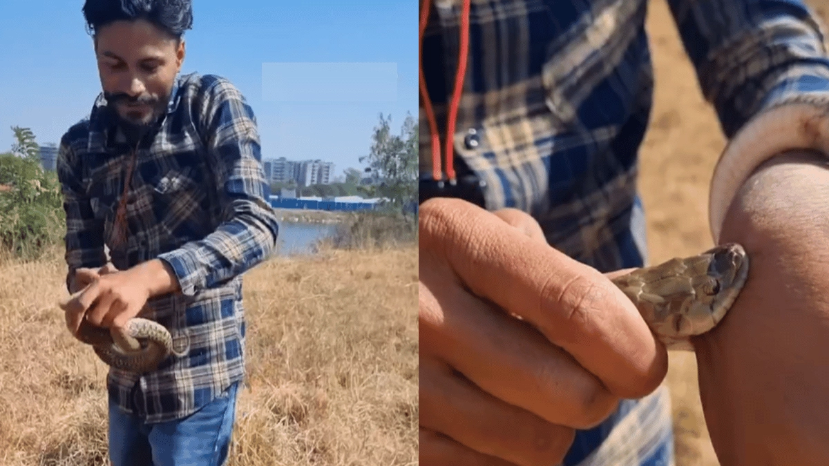 snake-bites-man-giving-safety-tutorial-stunned-internet-calls-it-sacrifice-for-content-viral-video